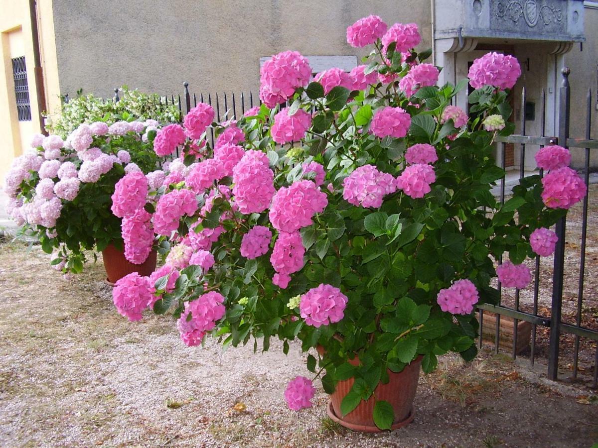 Valfabbrica Agriturismo Dea מראה חיצוני תמונה