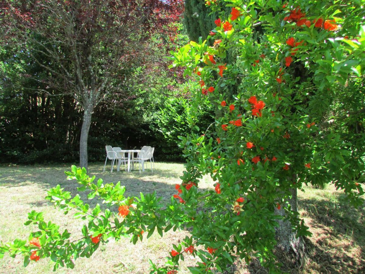 Valfabbrica Agriturismo Dea מראה חיצוני תמונה